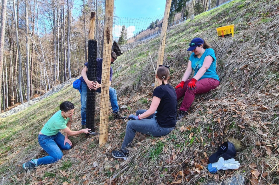bb Team am Tree Plant Day im Prättigau