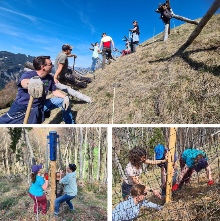 bb Team am Tree Plant Day im Prättigau