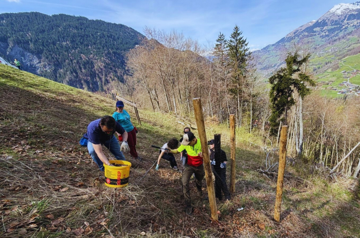 bb Team am Tree Plant Day im Prättigau