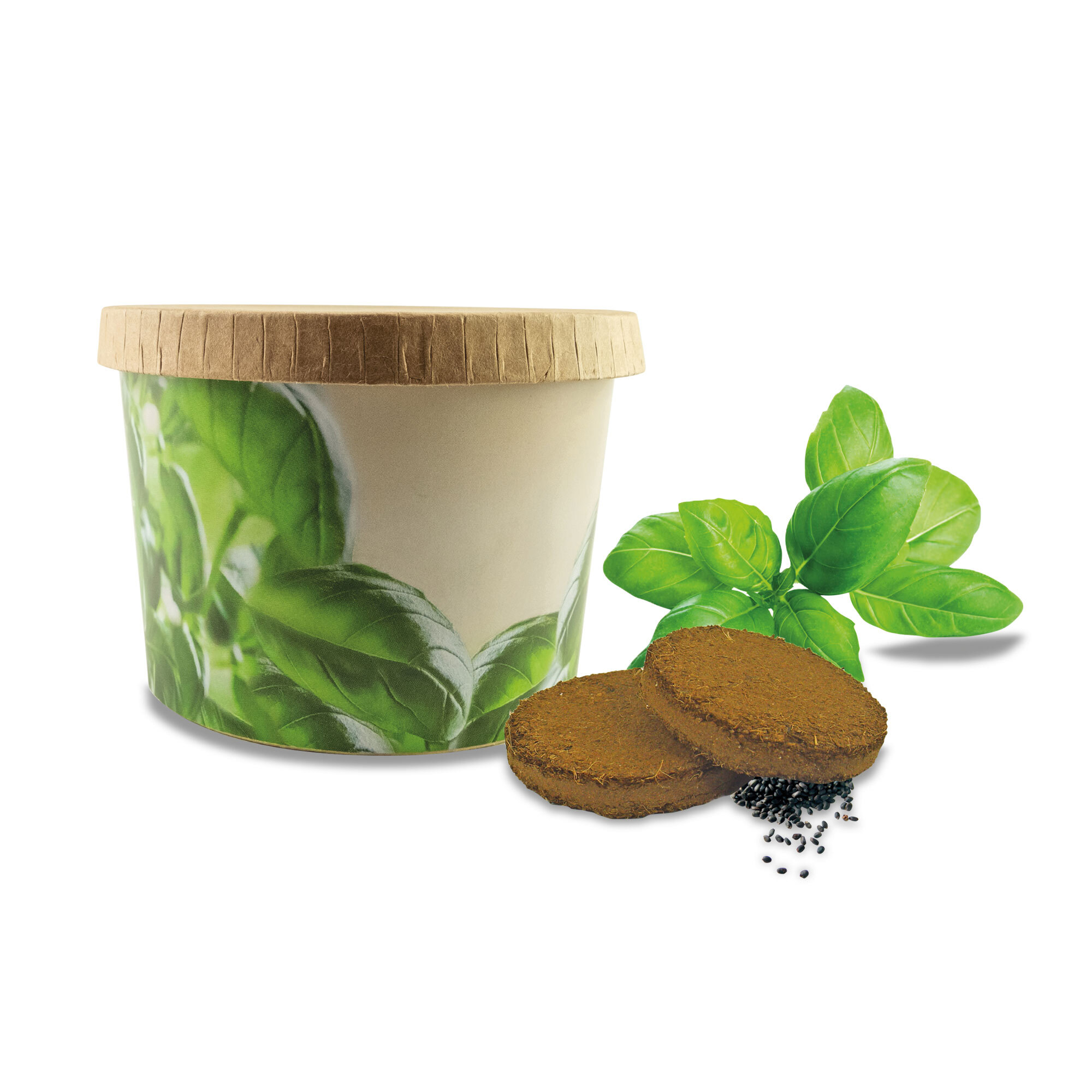 Kräuterbecher mit Bio-Basilikumsamen Made in Germany