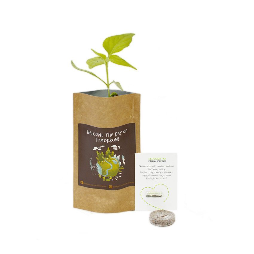 Sachets pour plantes en papier kraft et tourbe Made in EU