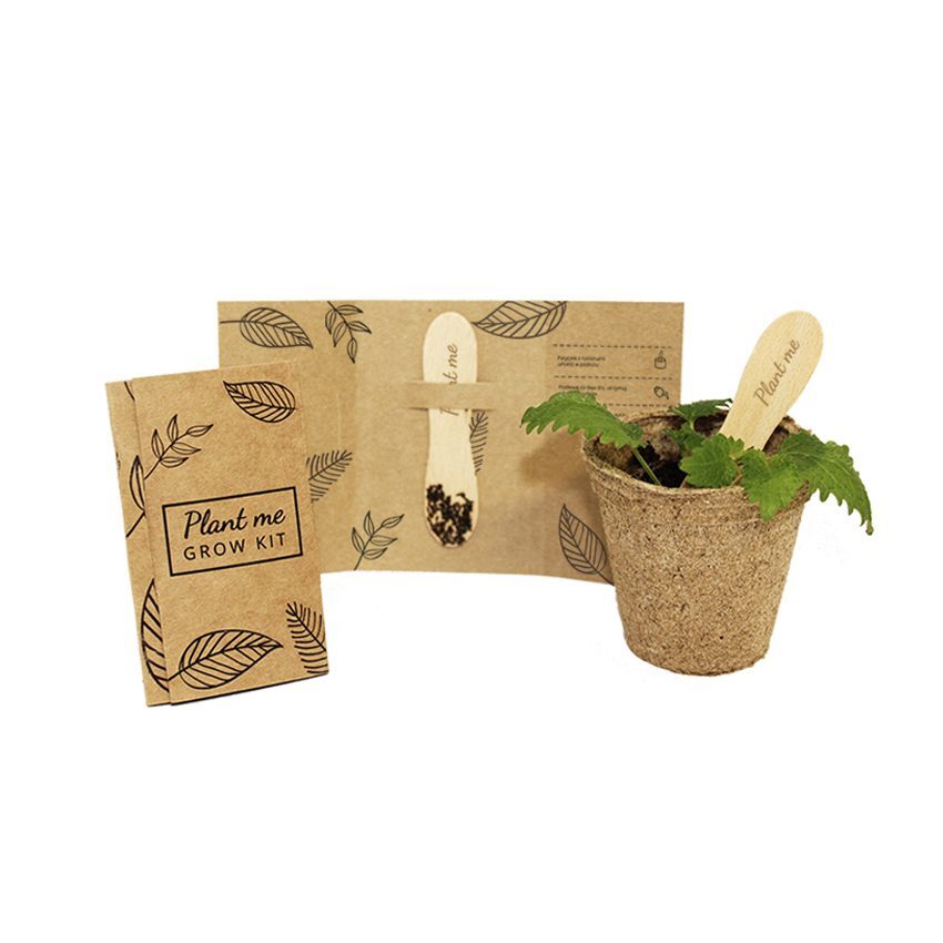 Stick végétal en papier kraft et bois de pin Made in EU
