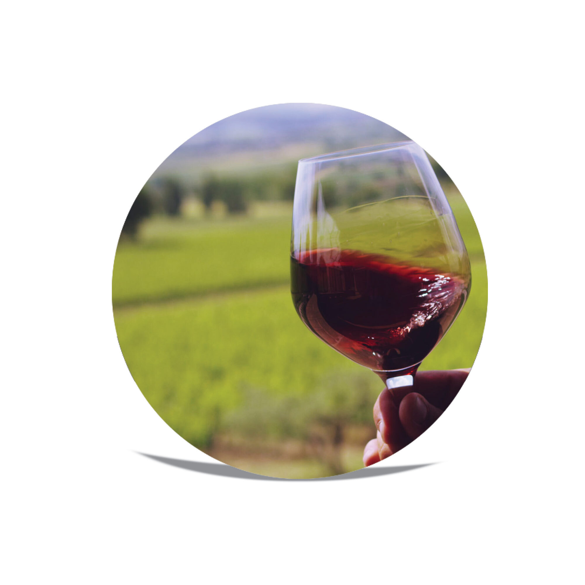 Wine pourer fully printable Swiss Made