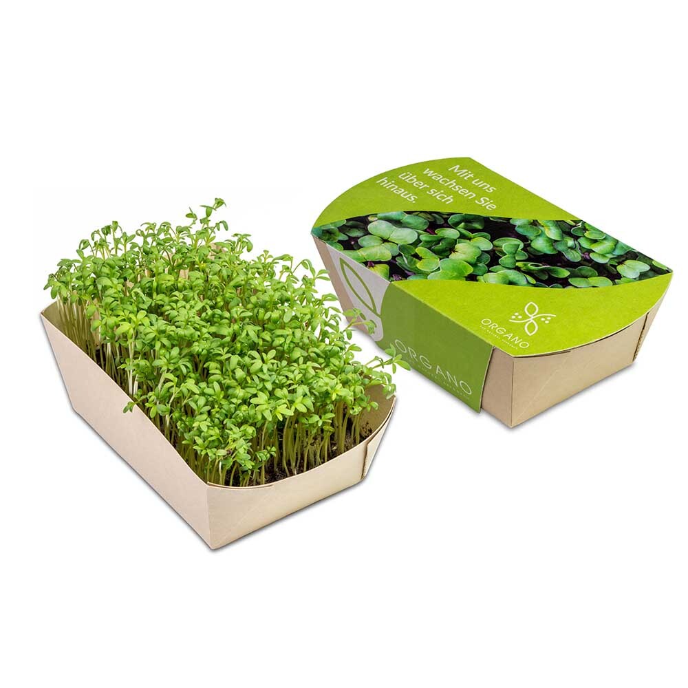 Microgreens-Gärtchen schnellwachsende Pflanzen Made in Germany