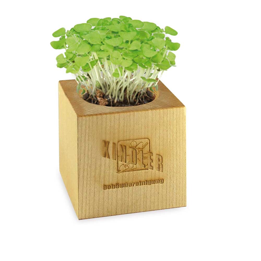 Pflanz-Holz Würfel aus Ahornholz 6 x 6 x 6 cm Made in Germany