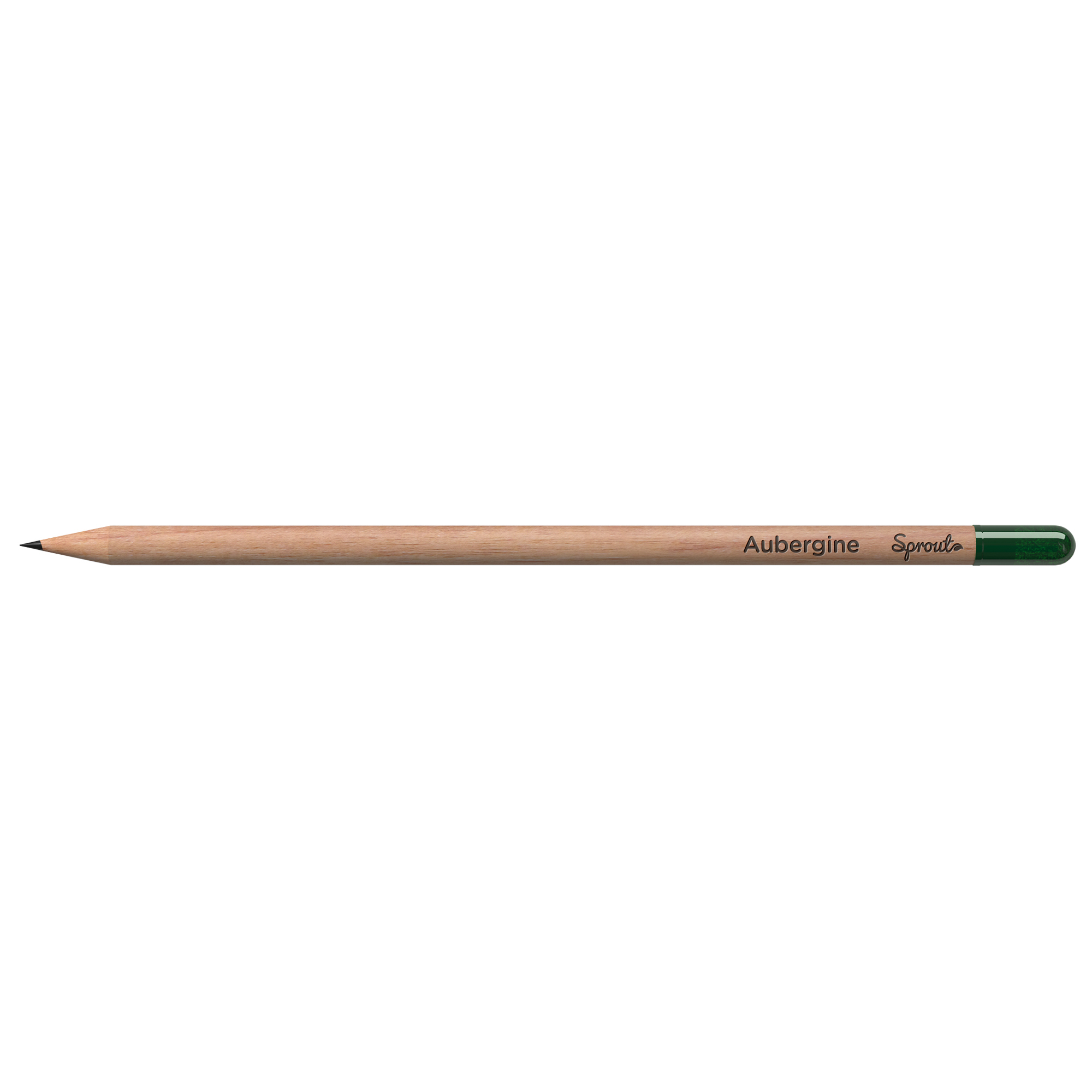 Wachsender Bleistift mit Samenkapsel verschiedene Samensorten