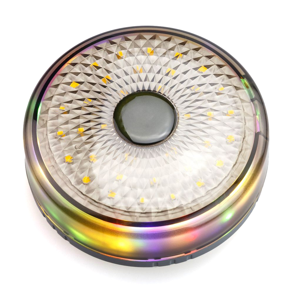 Luminaire d'extérieur à LED 200 lumens avec guirlande lumineuse RGB