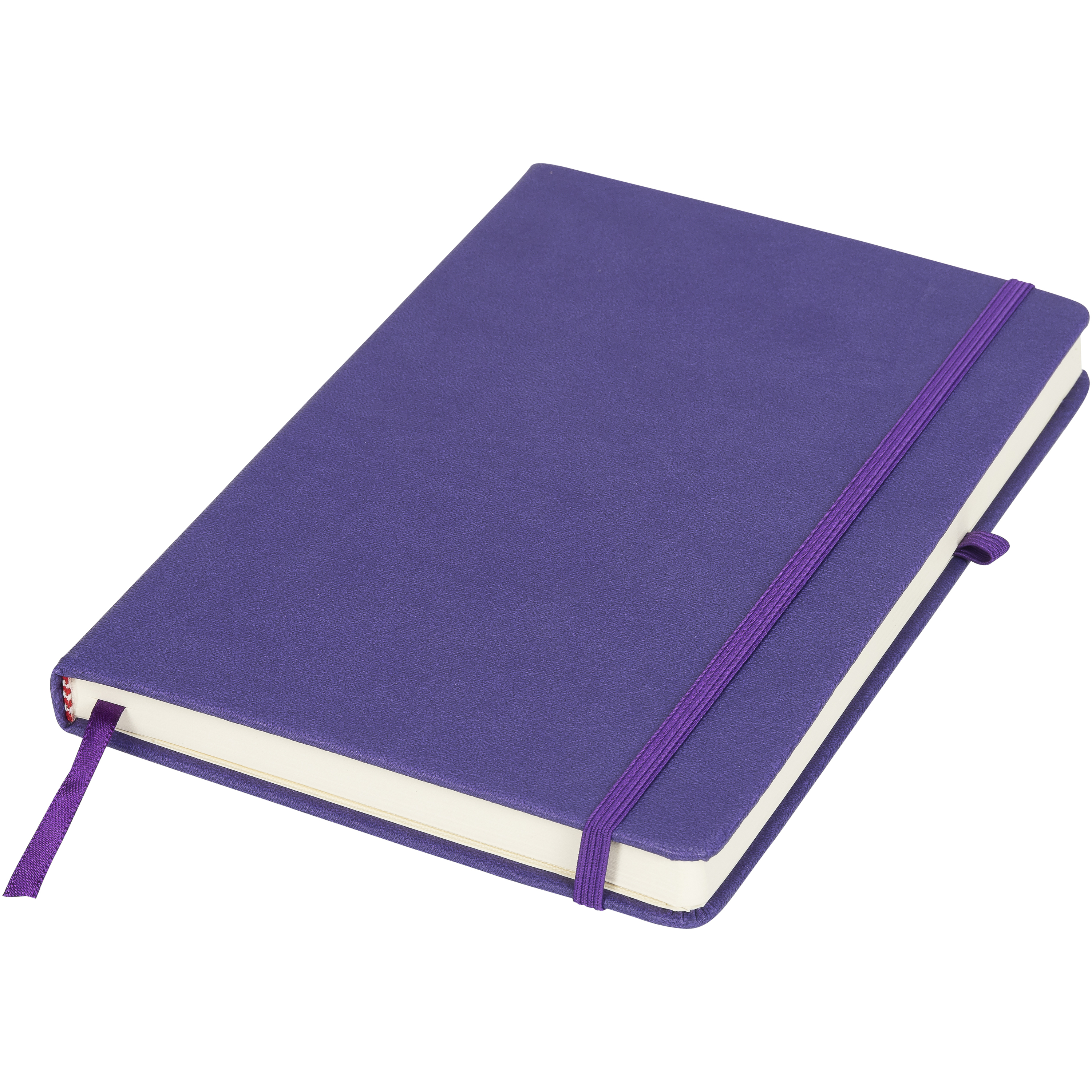 Notizbuch A5 Hardcover aus Kunststoff 256 Seiten liniert