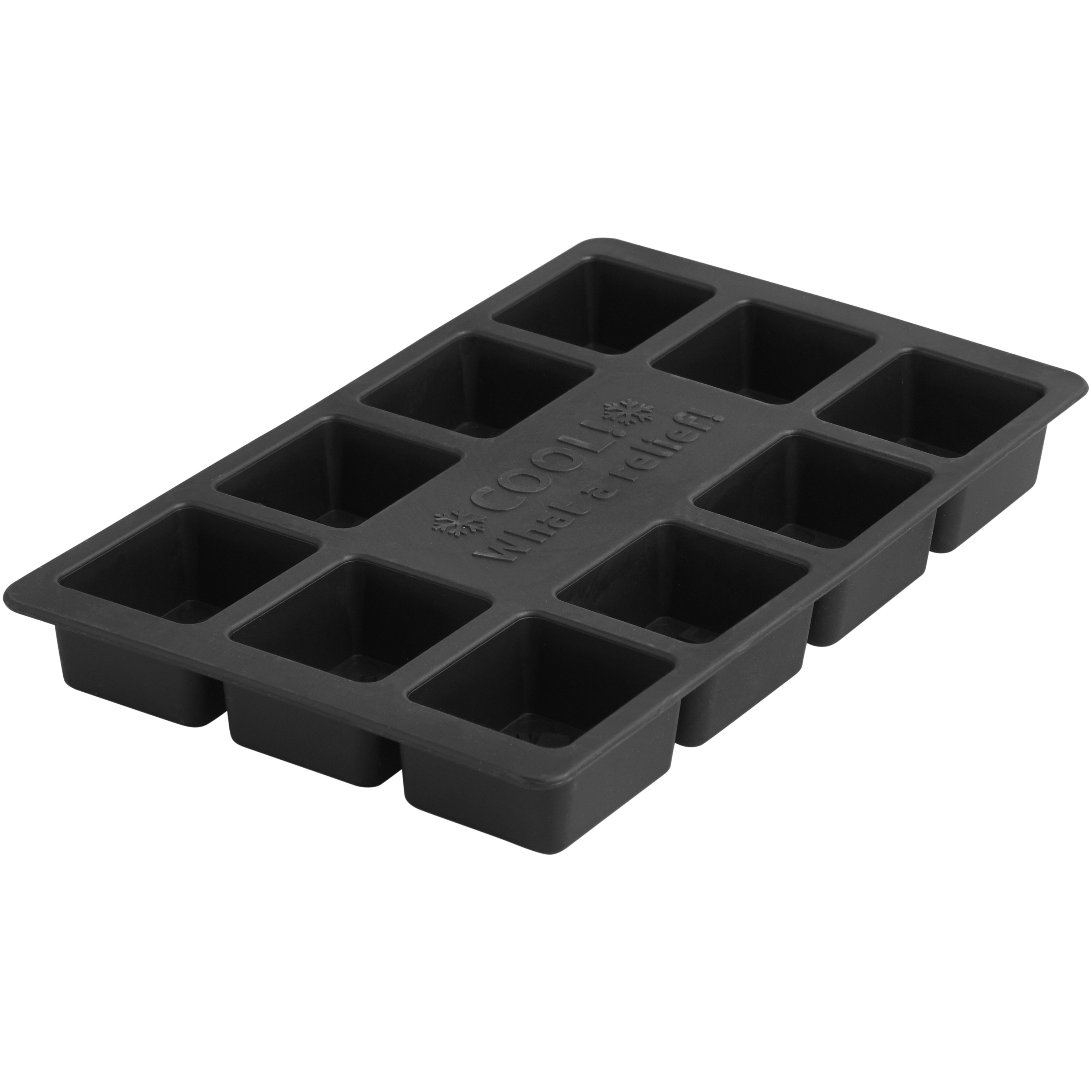 Plastic ice cube tray with embossed logo relief