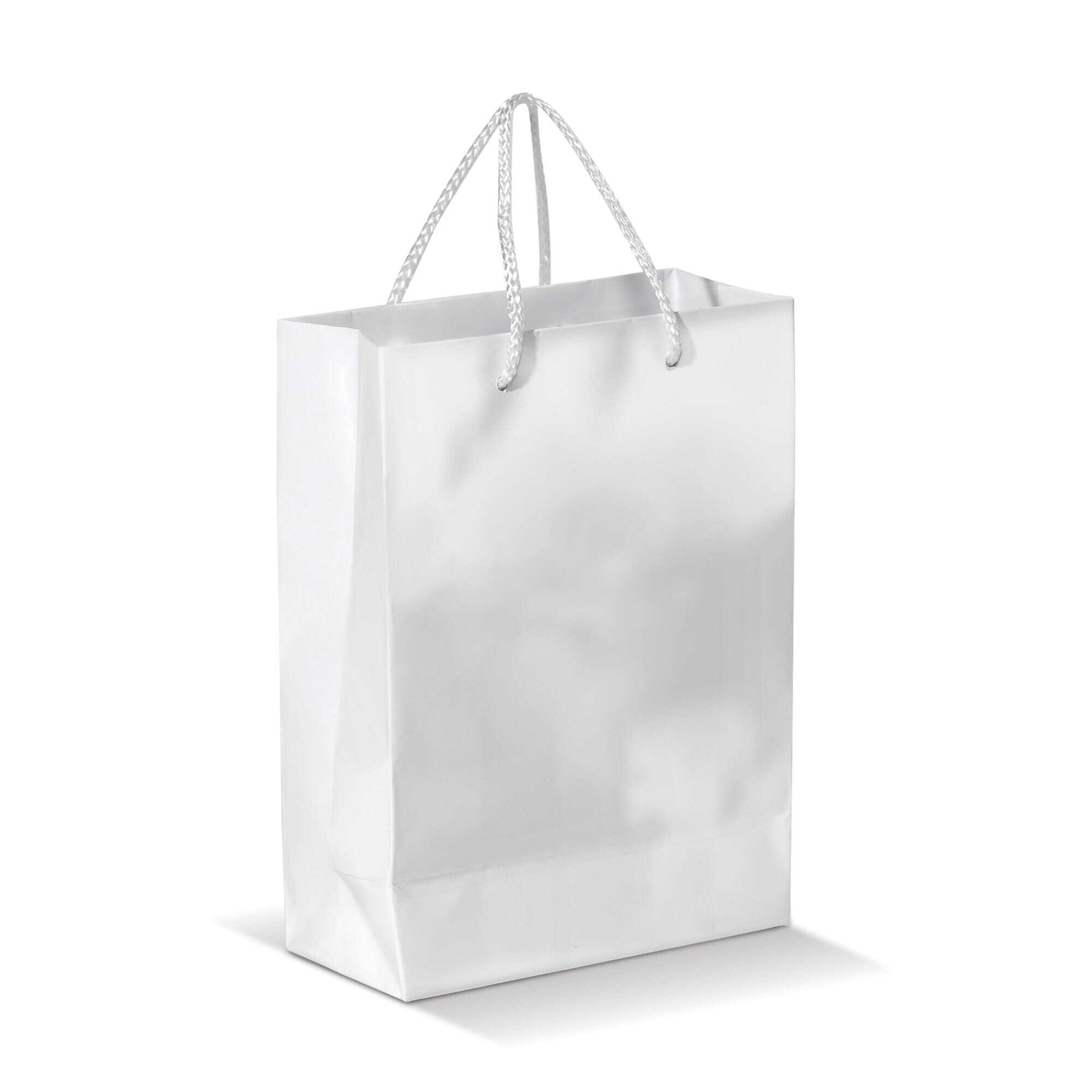 Tragtasche aus laminiertem Papier 18 x 24 cm mit Seilgriffen