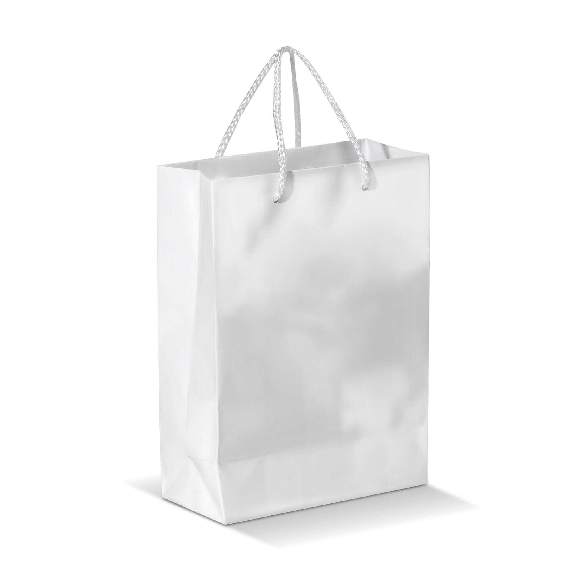 Tragtasche aus laminiertem Papier 30 x 40 cm mit Seilgriffen