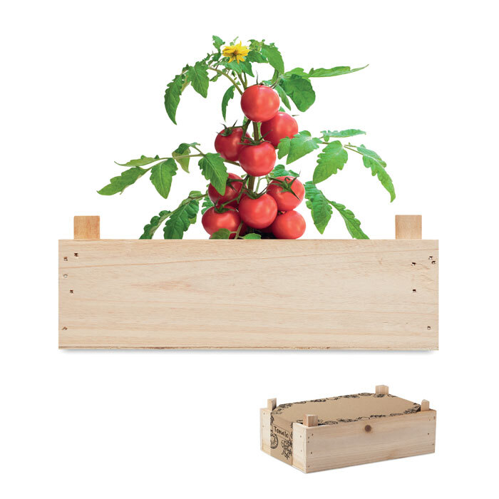 Saat-Set Tomate in Holzkiste 20,5 x 13 x 7,5 cm