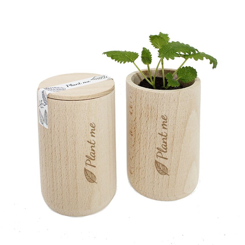 bb trading werbeartikel ag - Pflanz-Holz rund aus Kieferholz rund Ø 6 x 9,5 cm Made in EU