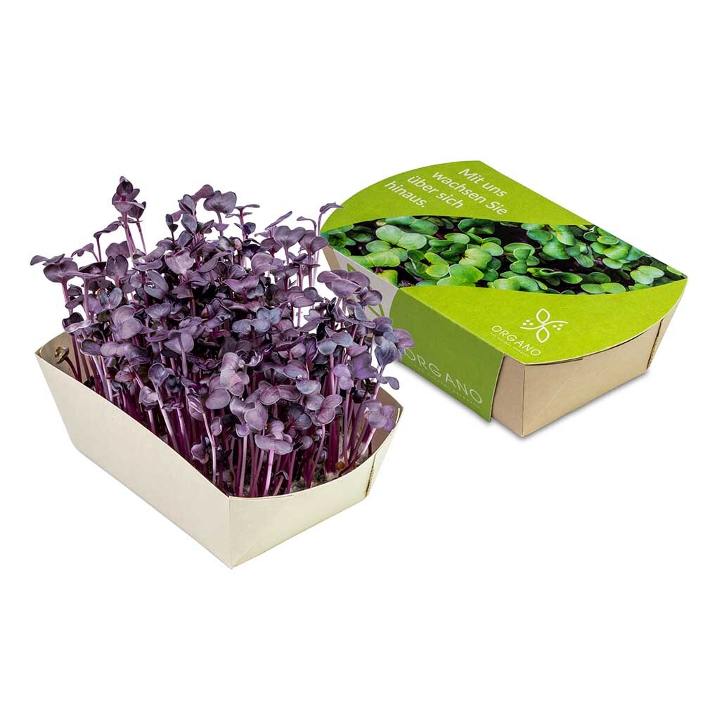 bb trading werbeartikel ag - Microgreens-Gärtchen schnellwachsende Pflanzen Made in Germany